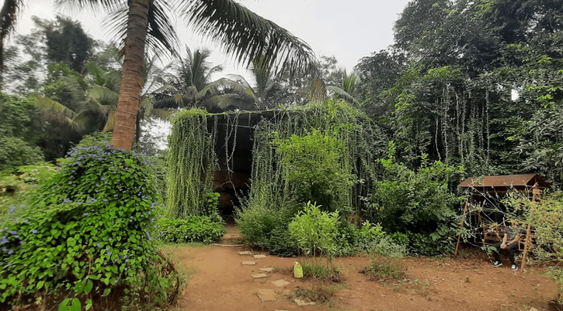 Ovalekar Wadi Butterfly Garden, Thane, Maharashtra - Vushii.com